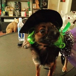 Meet your Posher, Jeff